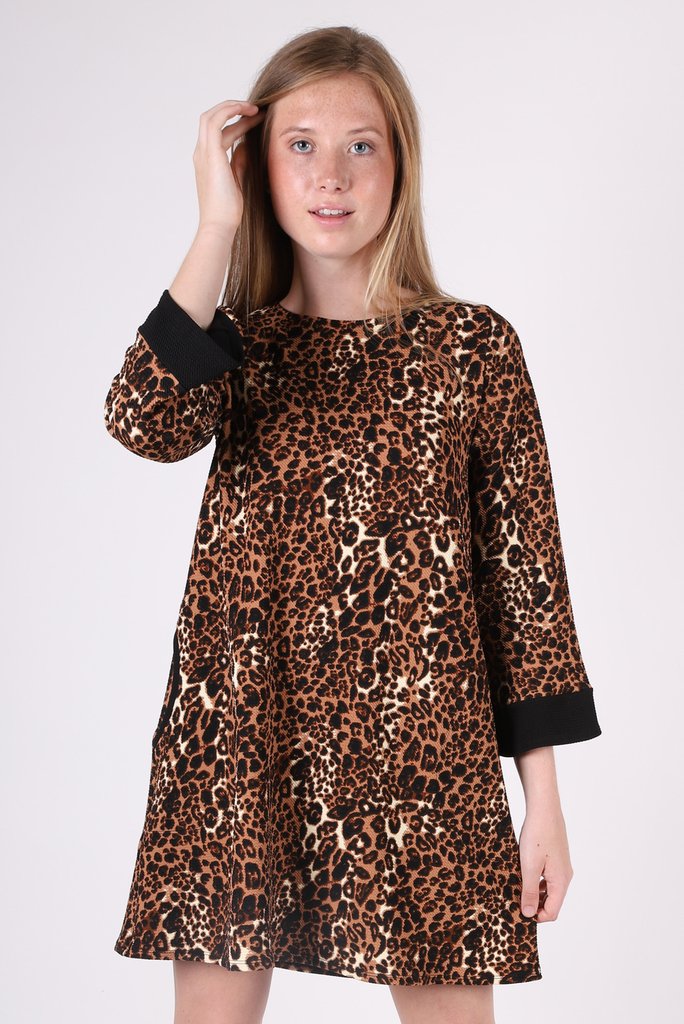 Lou Cheetah Print V-Neck Short Sleeve Belted Maxi Beach Dress | Melissa  Odabash