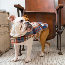 Porter Dog Coat